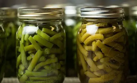 Canning Green Beans