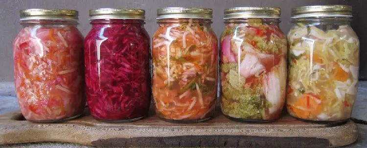 Fermented Food Healthy