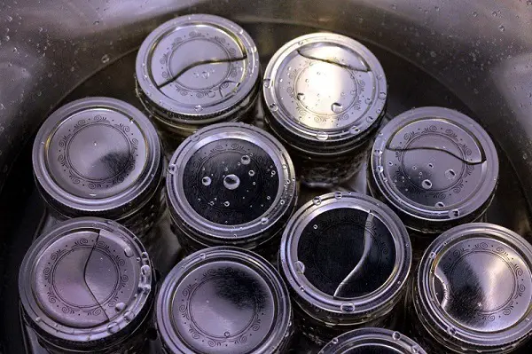 Ball Jars in Pressure Canner.