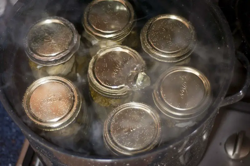 The Guide To Water Bath Canning