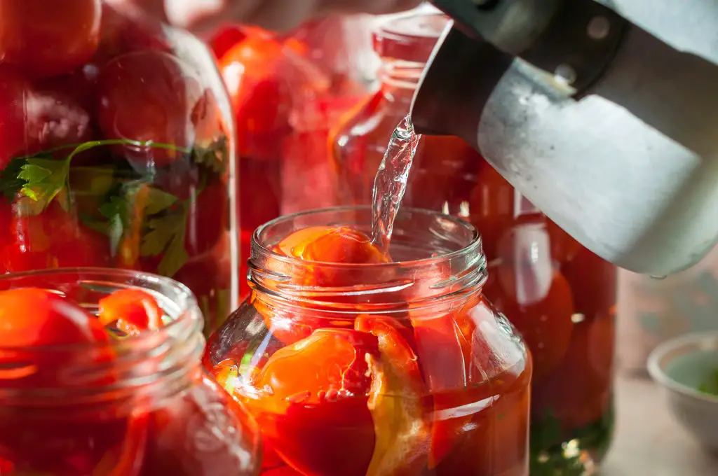 Canning process of tomato in mason jar. Pressure canning tomatoes