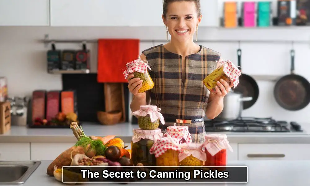 The Secret to Canning Pickles