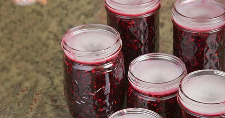 Jars of blackberry jam with the household wax