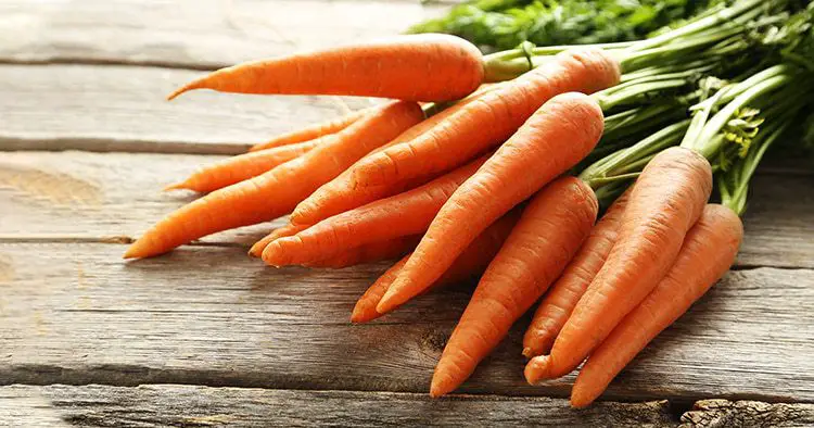 fresh-sweet-carrot-on-grey-wooden