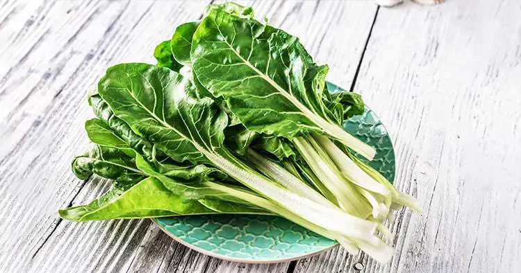 Fresh organic chard on a rustic background