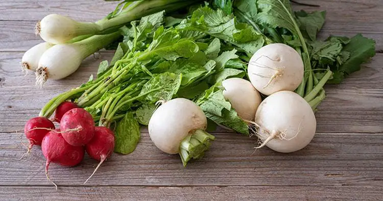 Bunch of white turnips, red radishes and spring onions on wooden table