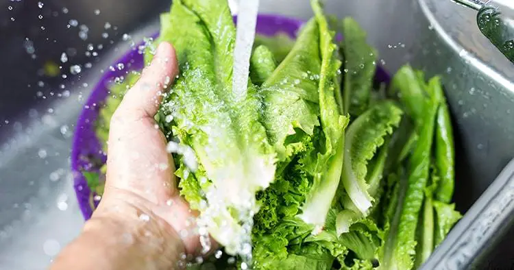 fresh vegetables in wash sink