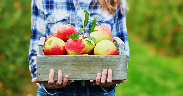 woman-hands-holding-crate-fresh-ripe