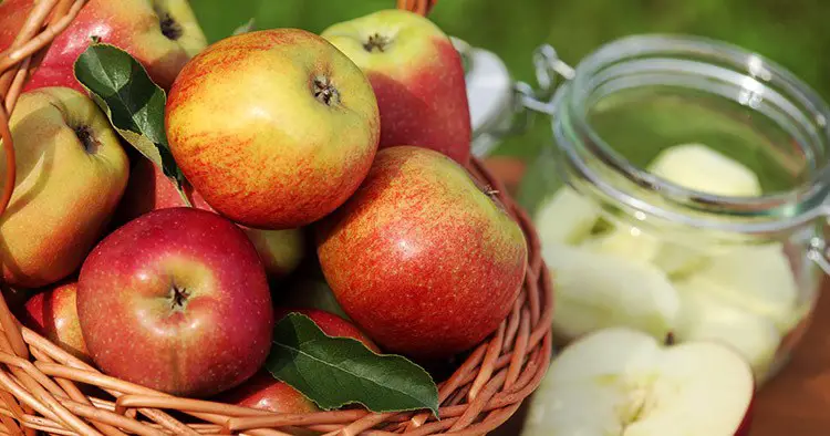 Basket with fresh apples and canning jar.