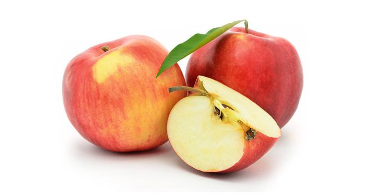 Red, ripe apples Jonagold isolated on white background