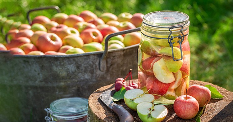 Preparation for canned apples in the summer green garden