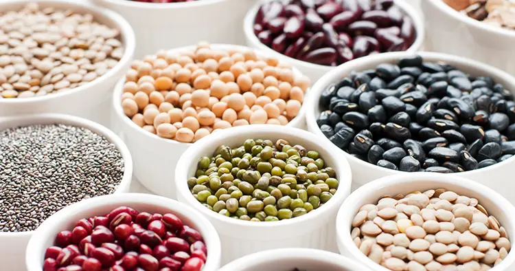 collection-set-beans-legumes-peas-lentils