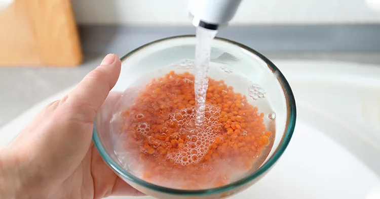 Hand of woman washing raw lentils with tap water before cooking in kitchen