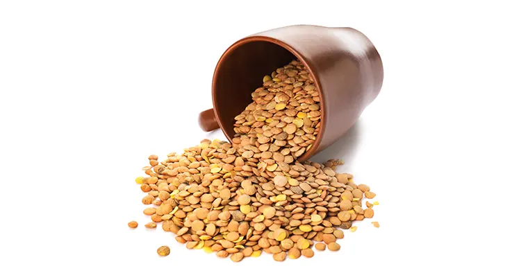 Overturned cup with raw lentils on white background