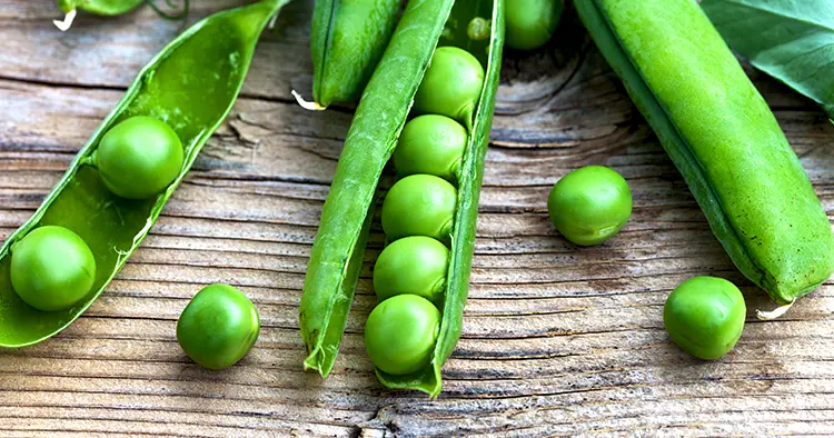 Young green peas on a wooden background