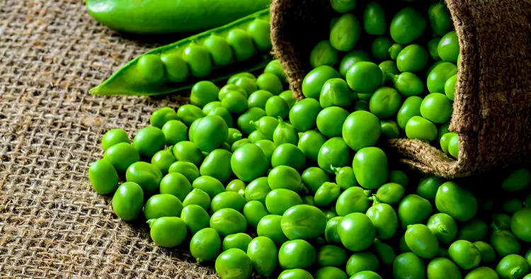 hearthy fresh green peas-pods