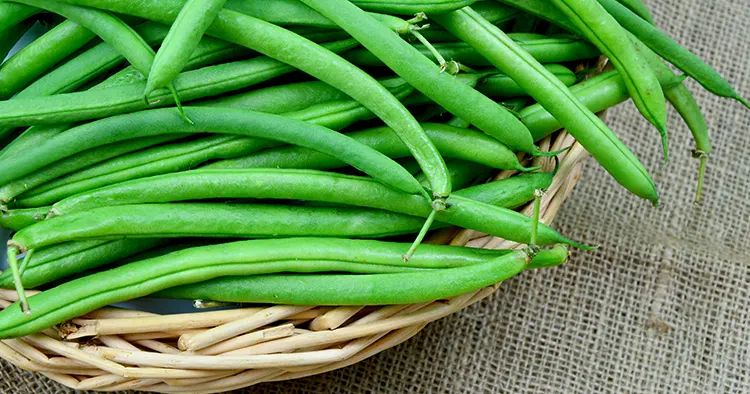 healthy with bush beans