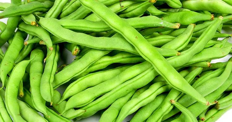 pole bean