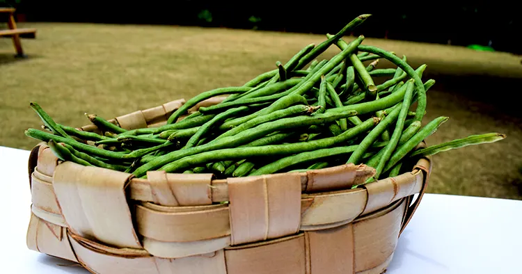 Green long beans