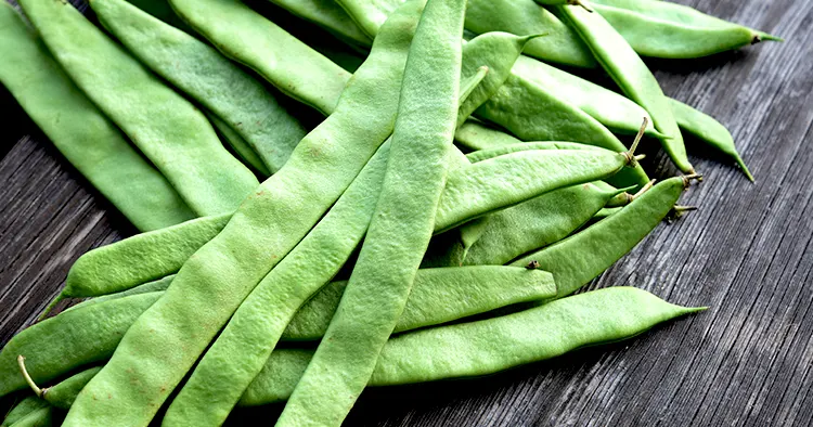 Fresh Roma II Italian Bush Bean or Romano Pole Bean (Phaseolus vulgaris) on wooden background