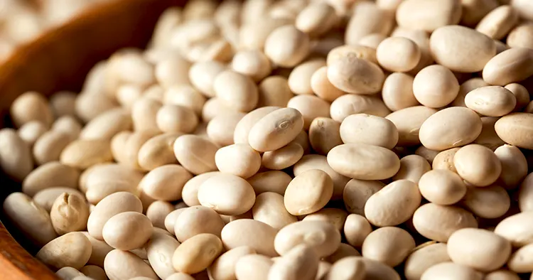 Raw Organic White Navy Beans in a Bowl
