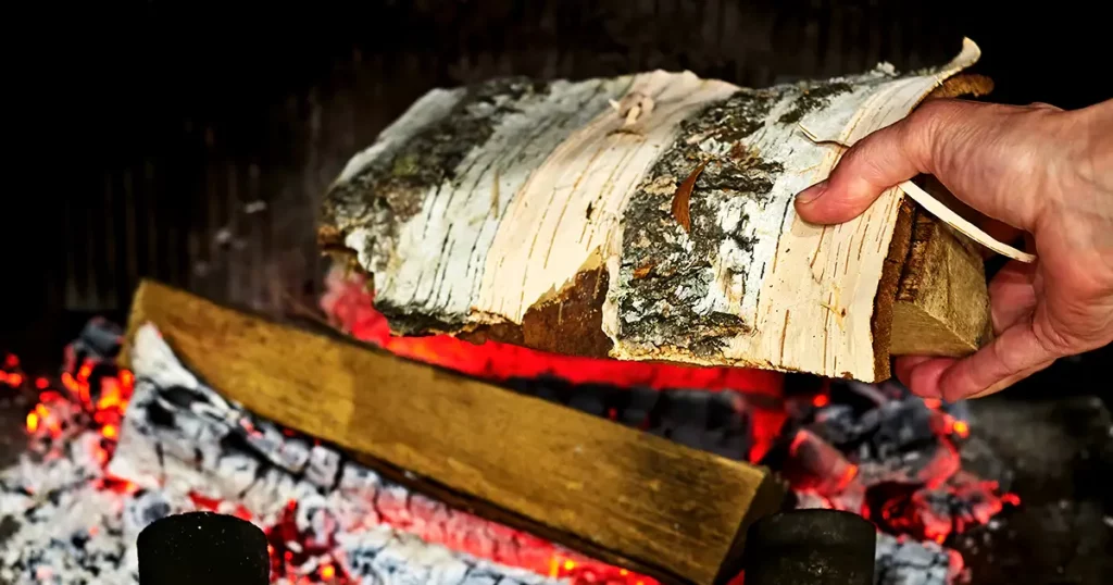 Throw birch firewood into a home fireplace