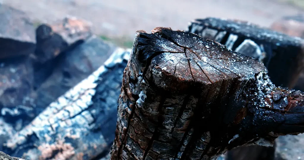 Detail of a partly burnt away wood log in campfire