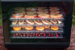 dehydrator filled with fruits