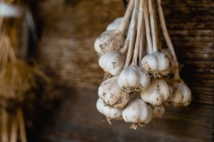bulbs or garlic on their stems hanging against a wooden background